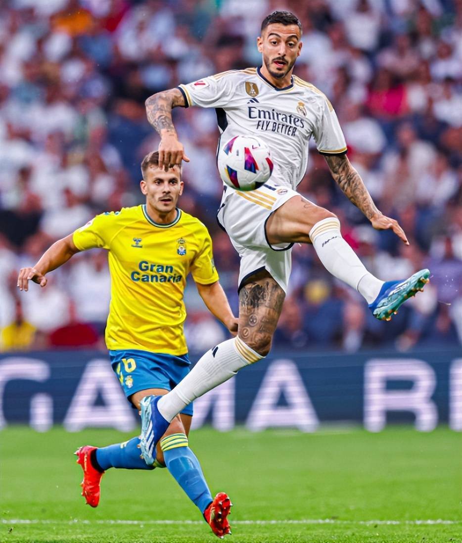 APP下载-莎拉波娃迎来二十赛季出色发挥，尤文图斯观众热烈欢呼！赛场气氛高涨的简单介绍