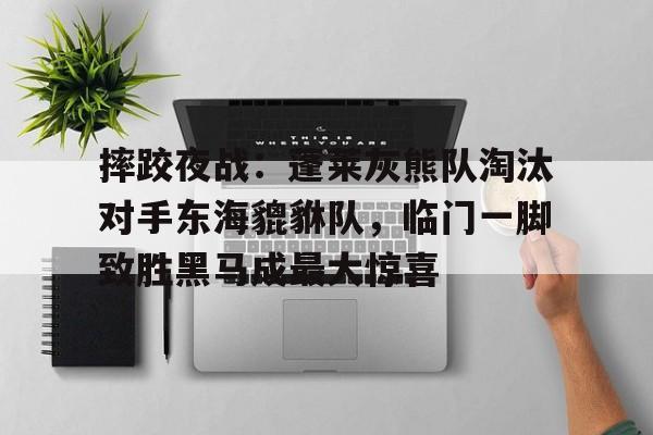 网页版登录入口-摔跤夜战：蓬莱灰熊队淘汰对手东海貔貅队，临门一脚致胜黑马成最大惊喜(灰熊人主角被熊袭击)
